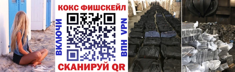 shop наркотические препараты  Судогда  Cocaine Fish Scale 